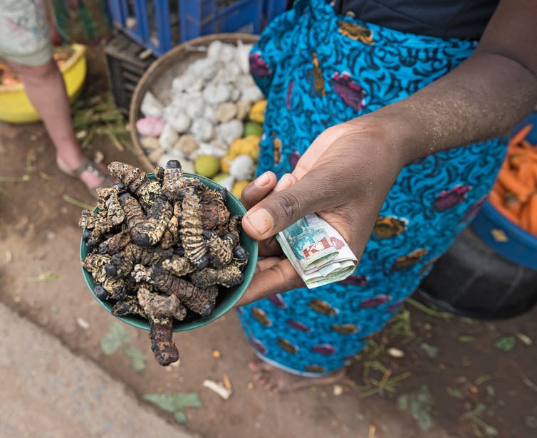 This project in Africa promotes edible insects, here’s why