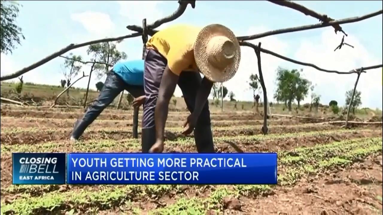 This is what Rwanda is doing to attract its youth into agriculture