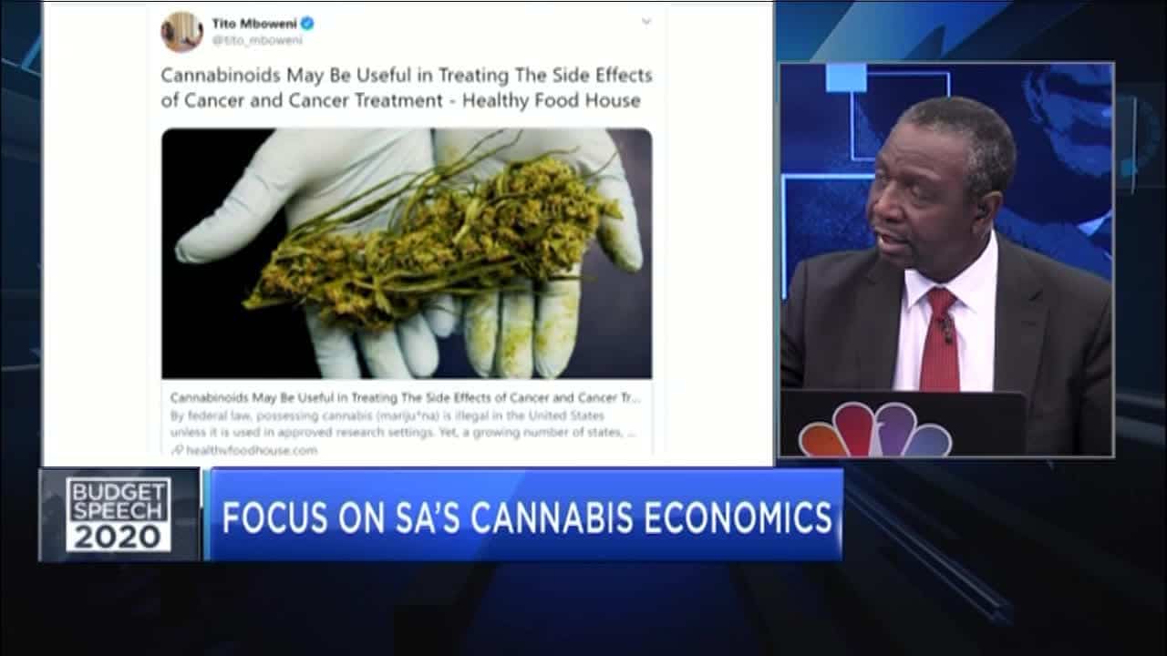 Unpacking SA’s bold plans to tap into the cannabis market