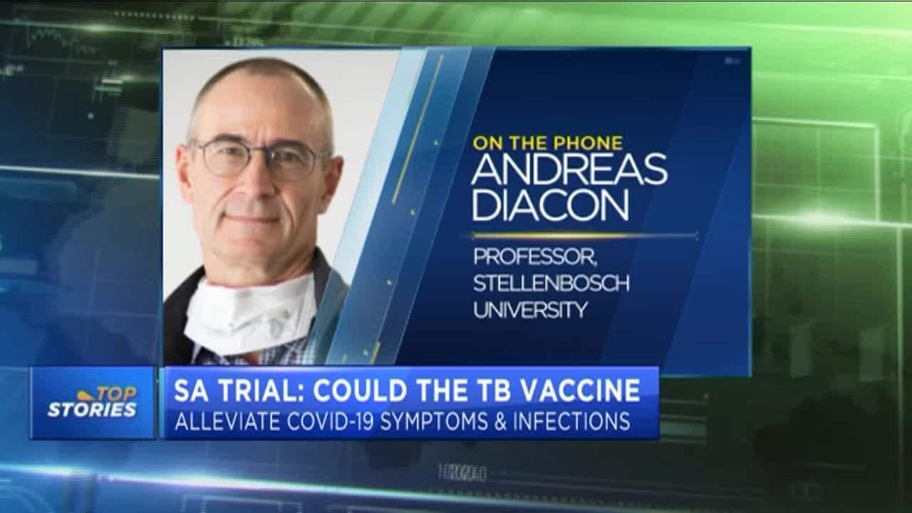 Could the TB vaccine alleviate COVID-19 symptoms and infections?