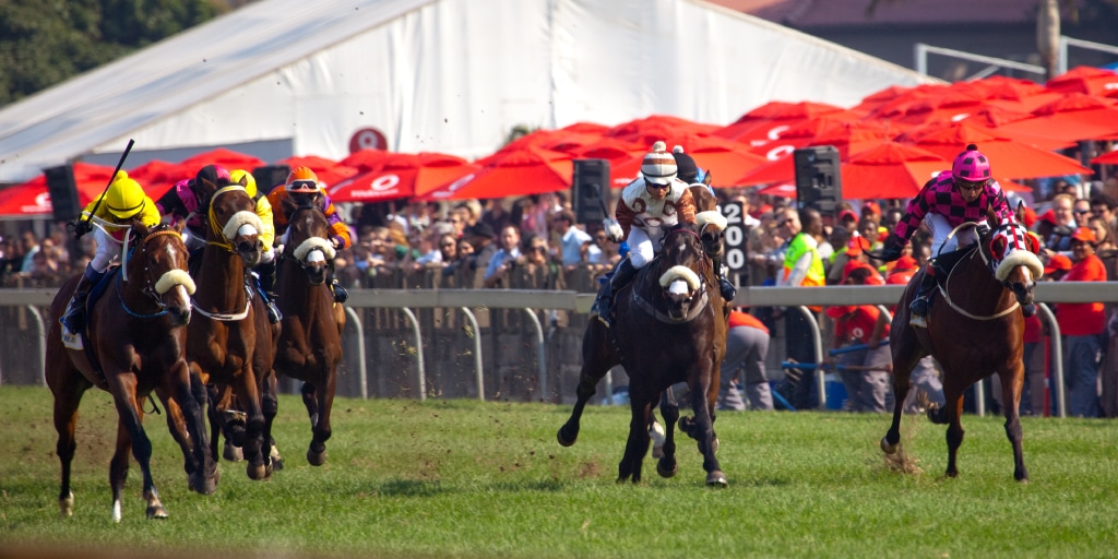 the-durban-july-gallops-ahead-africa-s-biggest-horse-race-to-go