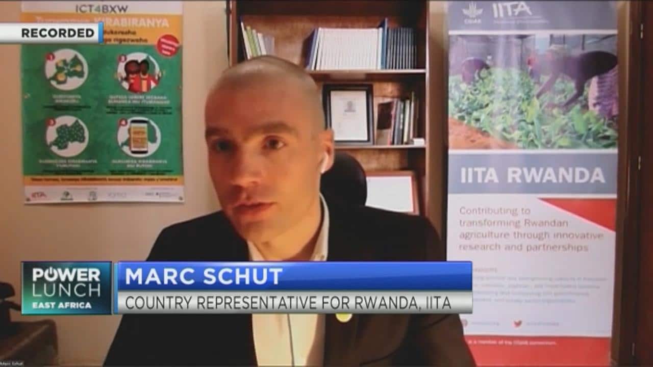 IITA on how to leverage tech to fight crop diseases