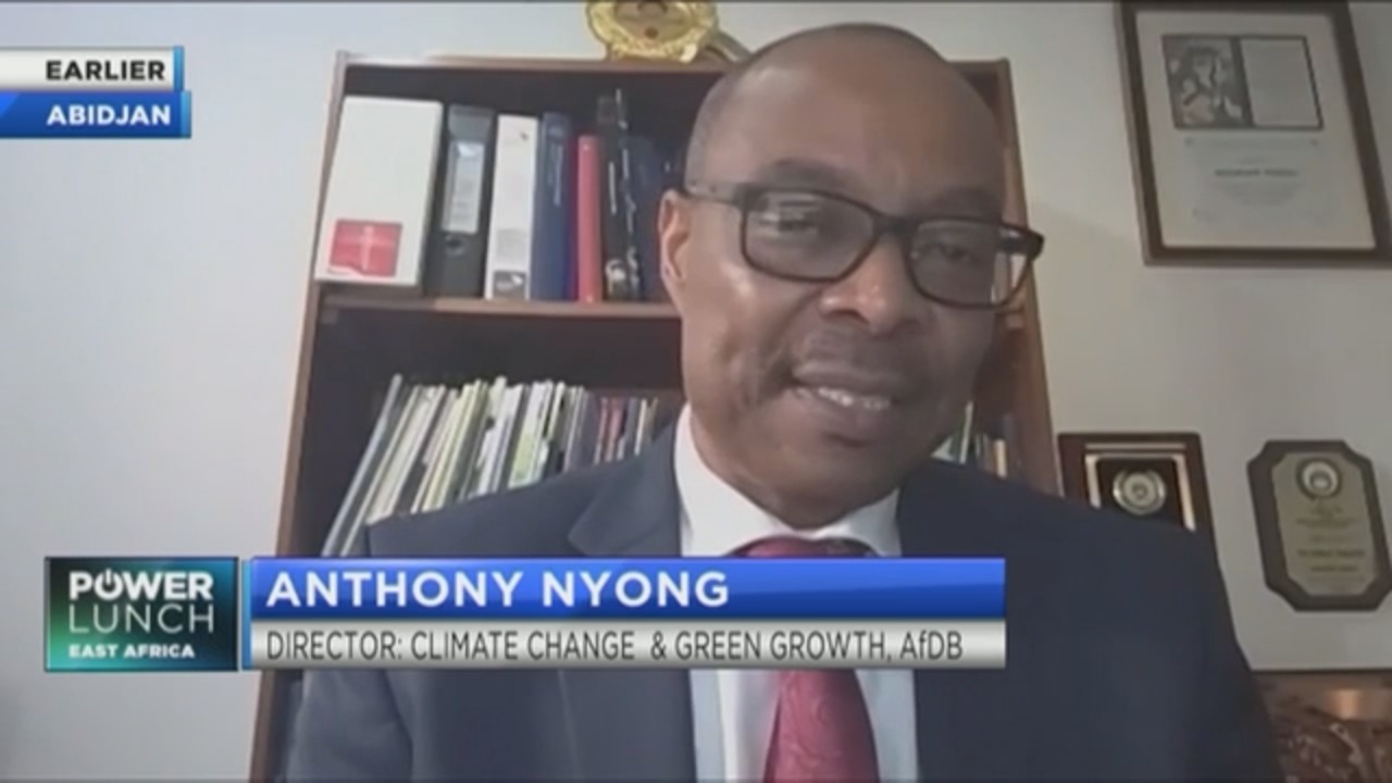AfDB’s Nyong on how to finance Africa’s climate adaptation & green recovery