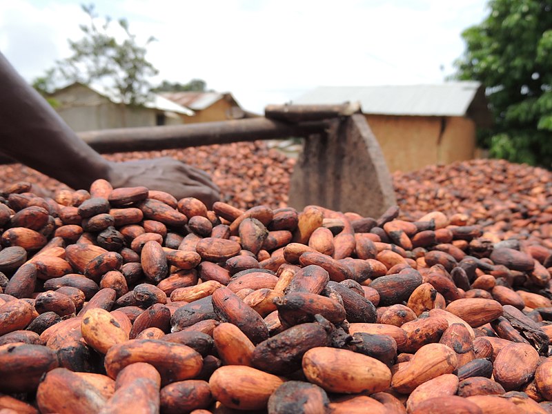 Power shortages will cut Ivory Coast cocoa grinding by 40 in May