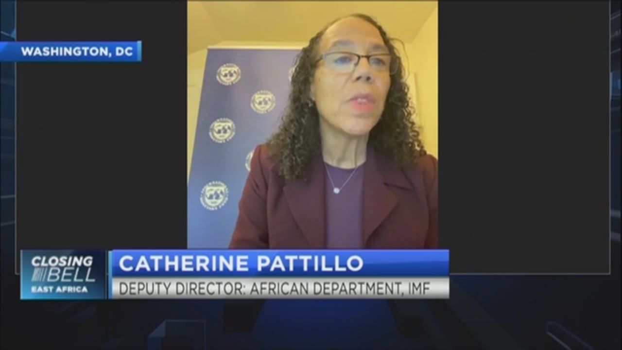 IMF’s Pattillo on how to attract private finance to Africa’s development