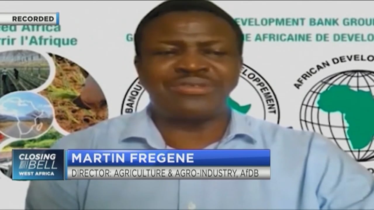 Africa’s agriculture value chain needs to be rebuilt, says AfDB’s Martin Fregene