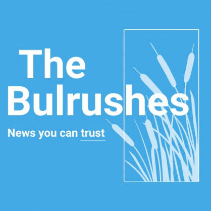 The Bulrushes News Website enters news content partnership with APO Group