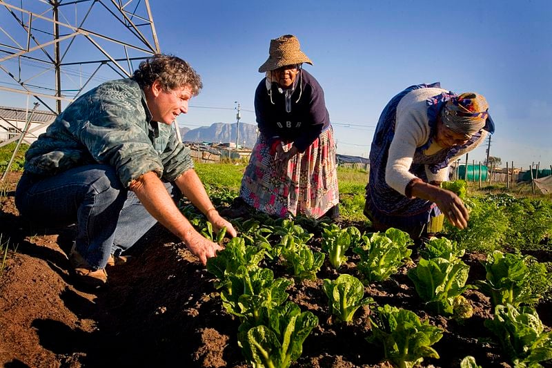 Inadequacy and fragility of food systems becomes more apparent with every food crisis. The question we must answer is “Where do we go from here?”