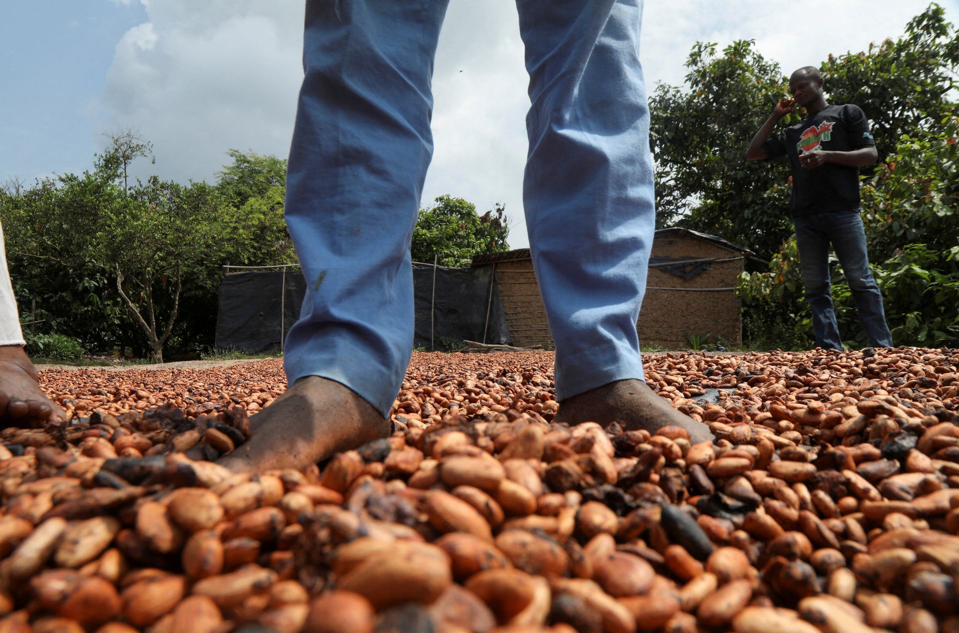 Nestle to give cocoa farmers cash to keep children in school