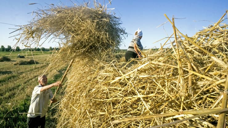 How a Russian invasion of Ukraine, the ‘breadbasket of Europe,’ could hit supply chains