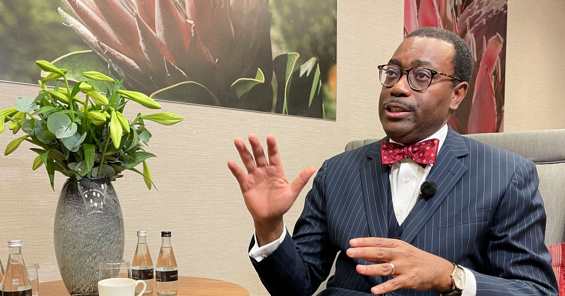 Ukraine war creates woes, but also an opportunity for Africa – AfDB Pres