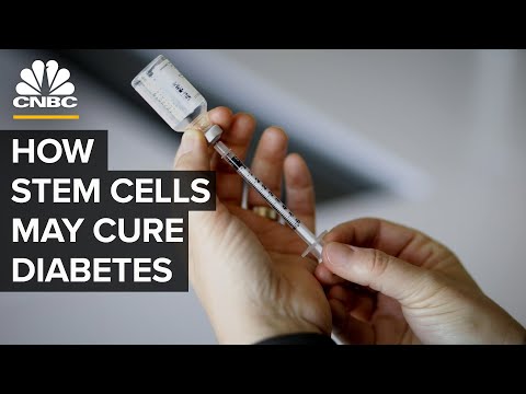 How There Could Finally Be A Cure For Diabetes