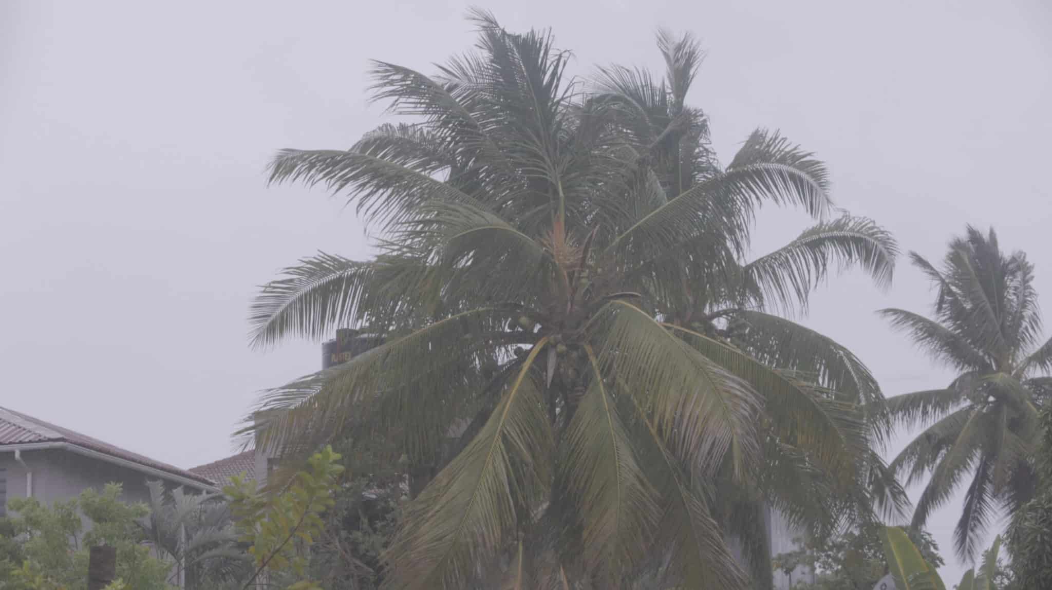 Malawi, Mozambique race to rescue survivors as cyclone toll rises above 270