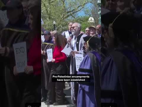 U.S students protest in support of Palestine