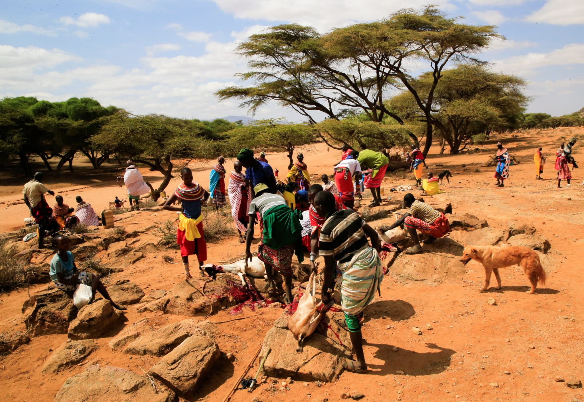 In Kenya, drought-weary farmers reap rewards of early warnings