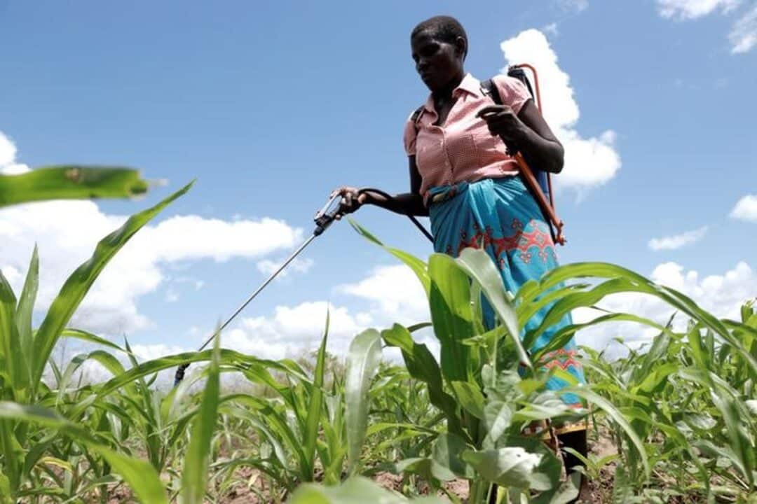 In parched Malawi rains promise deliverance but also danger